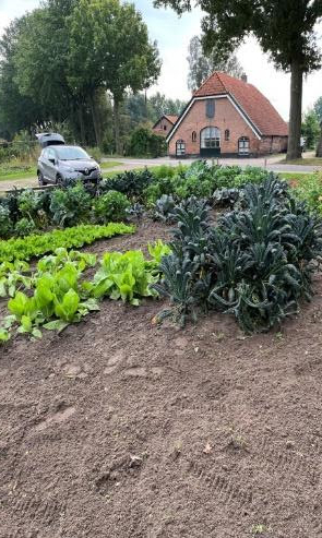 eshoftuin herfst 23a
