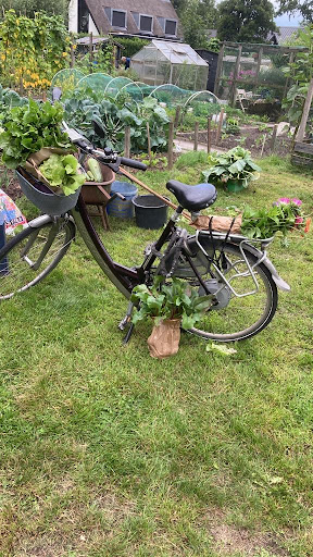 eshoftuin oogst 2023 3