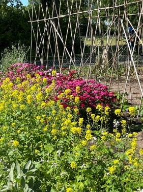eshoftuin zomer 2023a