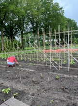 Eshoftuin 24 05 24 2