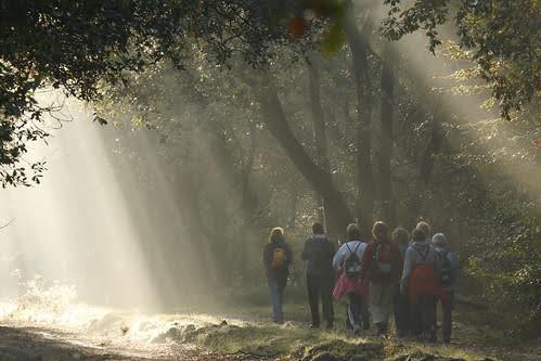 eshof wandeling