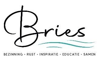 BRIES logo