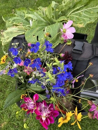 Eshoftuin nazomer 1