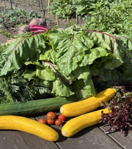 Eshoftuin oogst 2