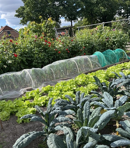 Eshoftuin volop kleur 1.docx