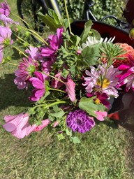 Eshoftuin volop kleur 2